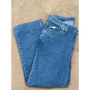 Denim Riders‎ Jeans 14P High Waist Womens Jeans Size Petite 130227H 32x27 Custom